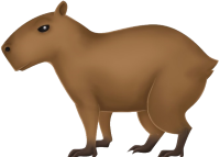 :capybara: