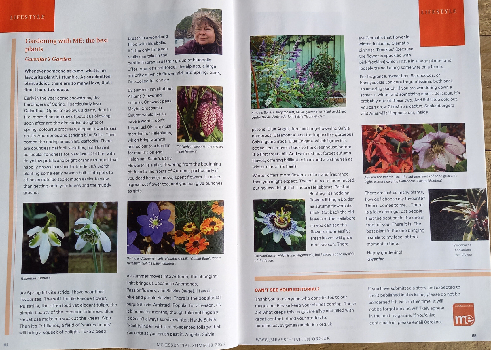 A photo of a two page article, Gardening with ME: the best plant